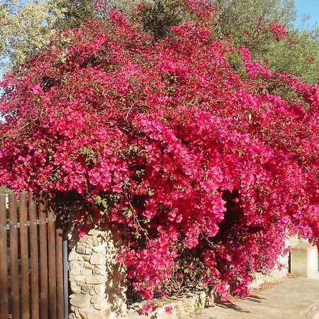 Casa A 300Mt.Dal Mare Calasinzias, 6 Letti, Ac, Pets Welcome, Wi-Fi Free Cala Sinzias Exterior photo
